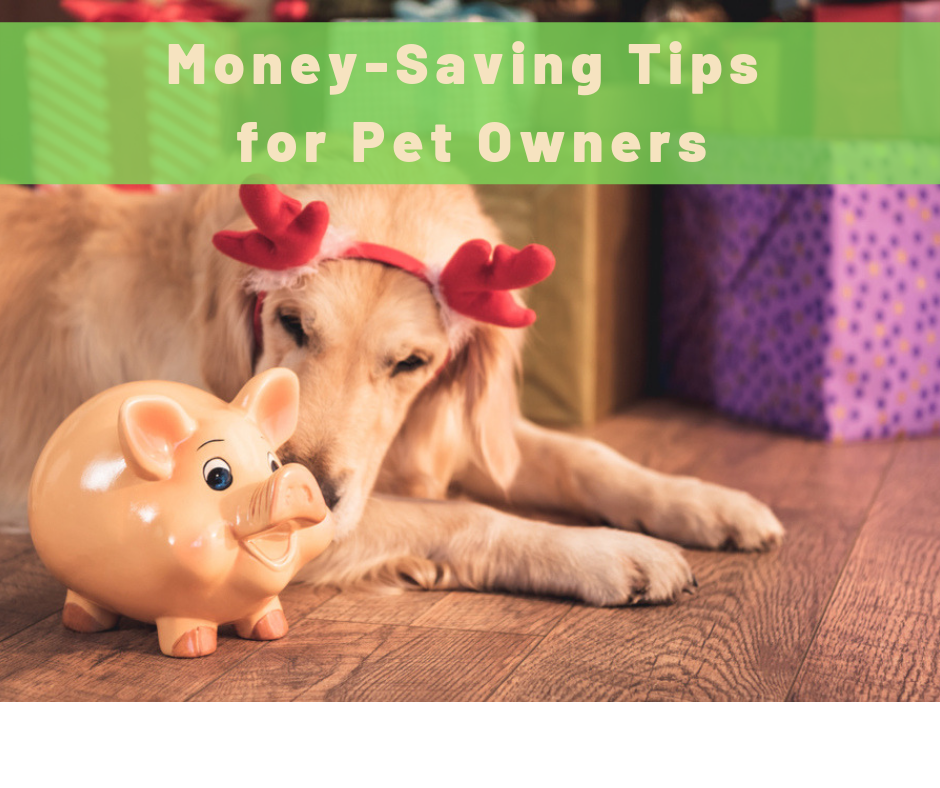 money saving tips for pet owners