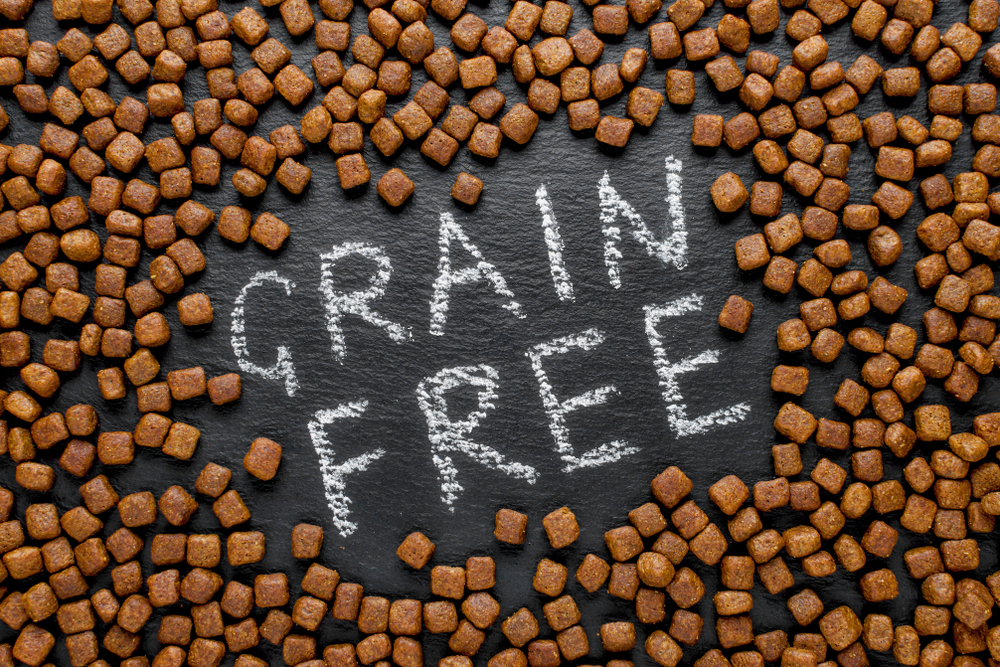 grain free causing heart disease
