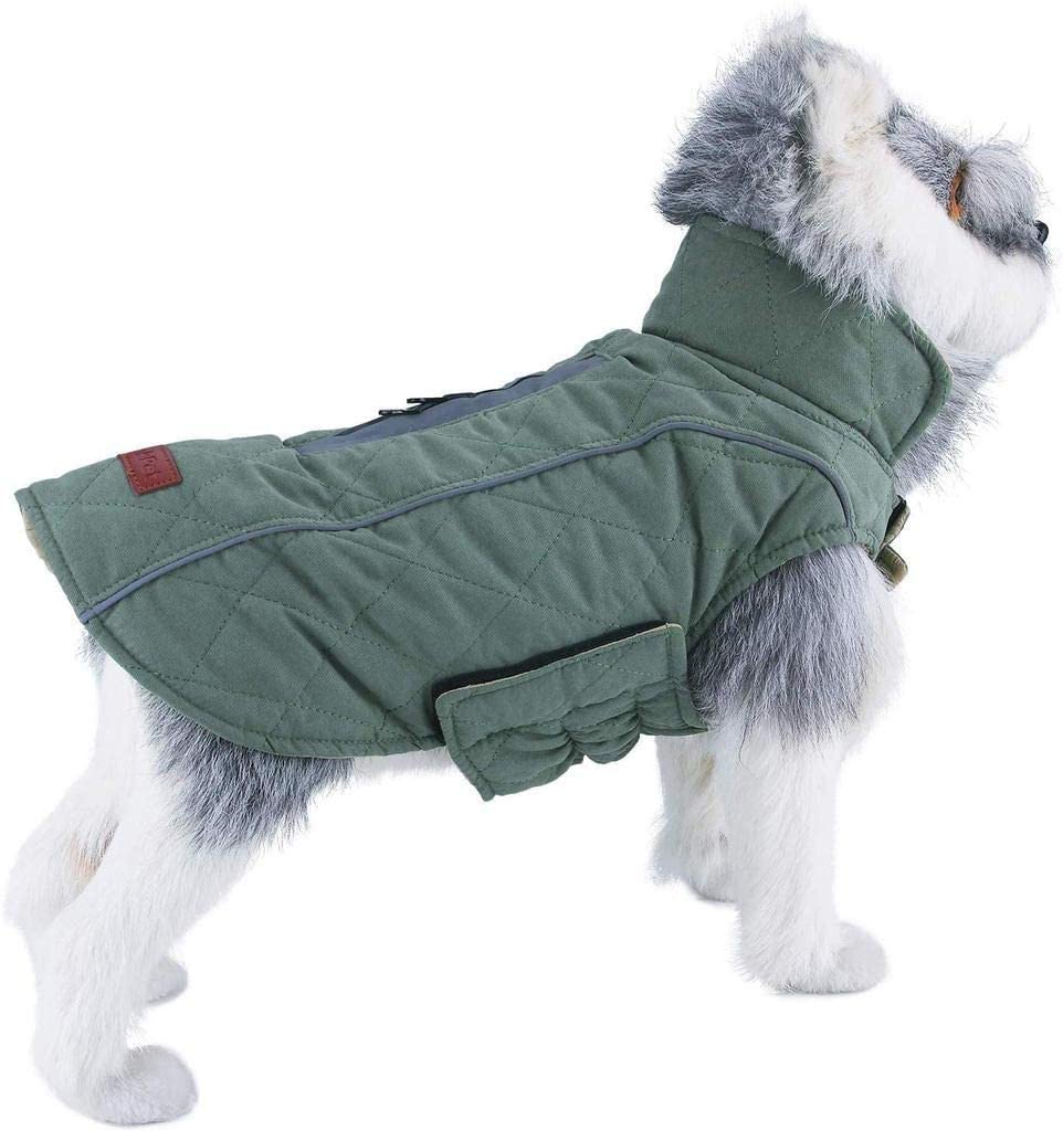 Best Dog Coats and Rain Jackets 