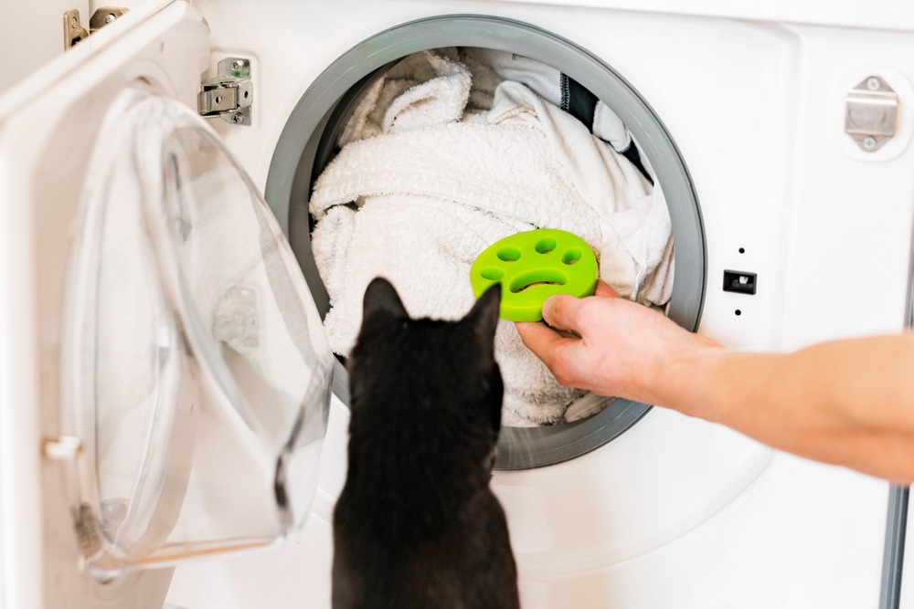 Washing Machine Hair Catcher and Other Hacks to Remove Pet Hair