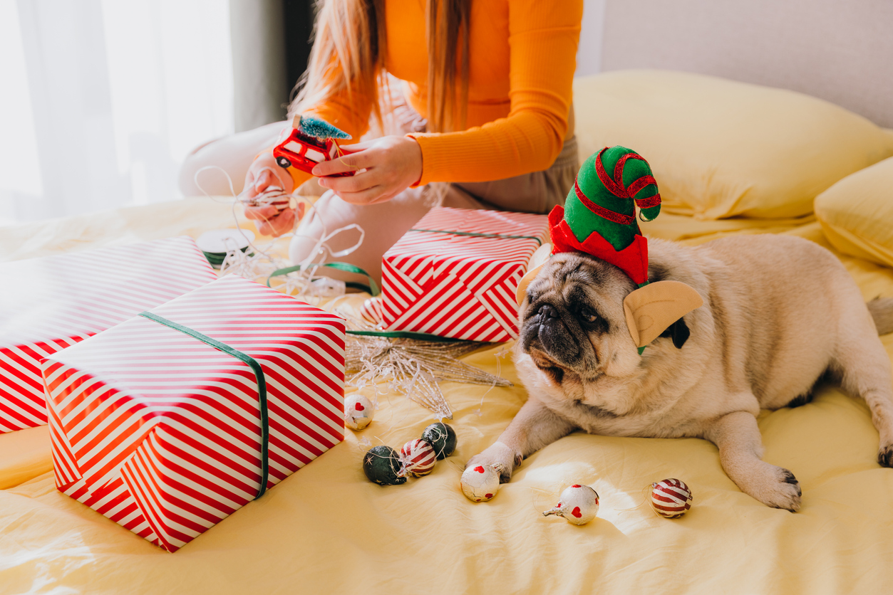 https://www.ovrs.com/blog/wp-content/uploads/2023/12/OVRS-gifts-for-pet-lovers-iStock-1783802406-1.jpeg