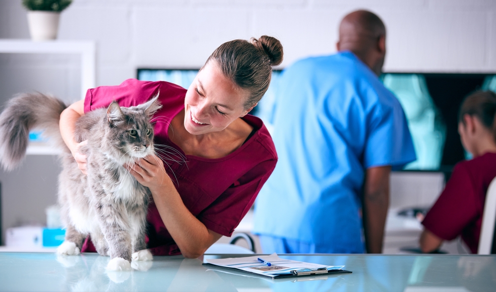 Collaborative Group-Primarily based Pet Care Is Higher – Oakland Veterinary Referral Companies